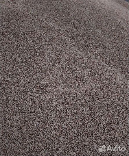 Ячмень озимый, Фасоль на корм