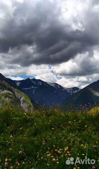 Туры по дагестану