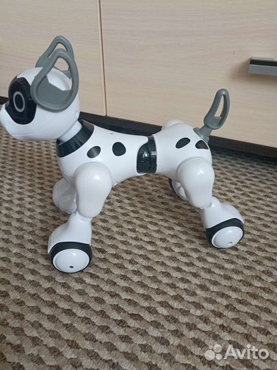 Собака робот