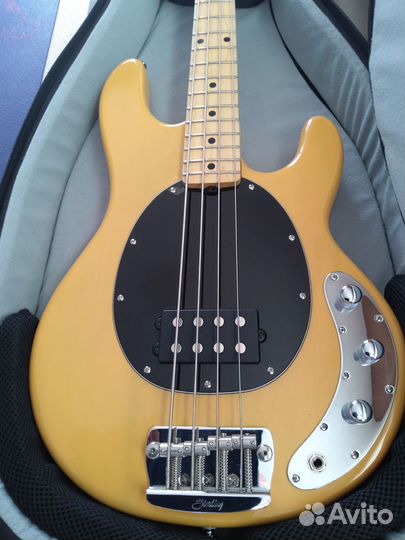 Бас гитара Sterling by Music Man
