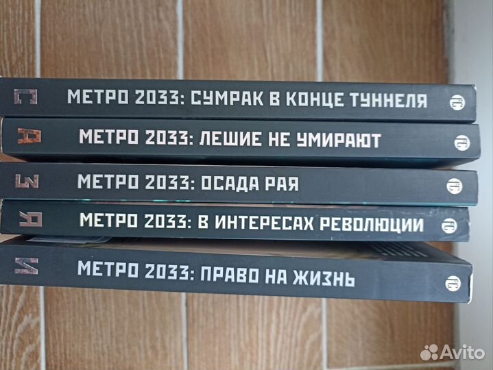 Книга метро 2033