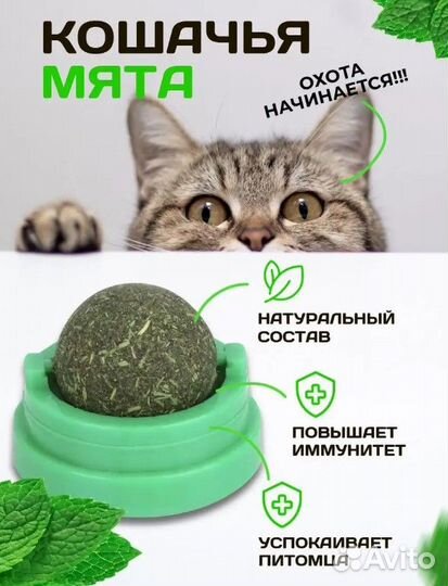 Кошачья мята, леденец с кошачьей мятой