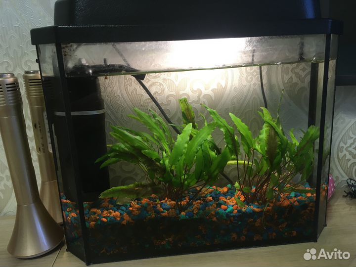 Аквариум