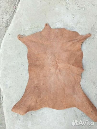 Кожа буйвола