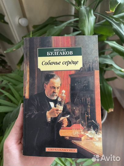 Михаил Булгаков Собачье сердце
