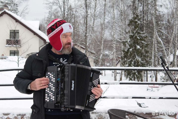 Профессиональный баянист