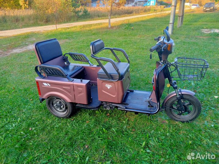 Трицикл Rutrike Вагон