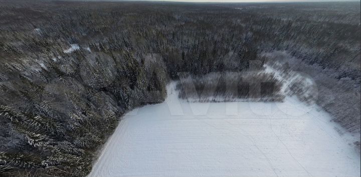 Участок 4,96 га (СНТ, ДНП)