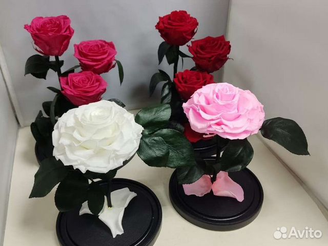 Роза в колбе