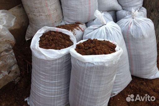 Перегнивший навоз конский с доставкой