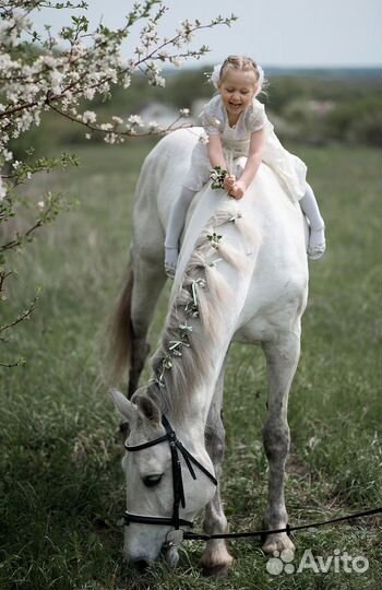 Конные прогулки в Саратове