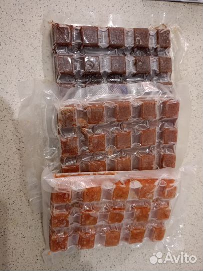 Культура живых кормов и замороженные корма