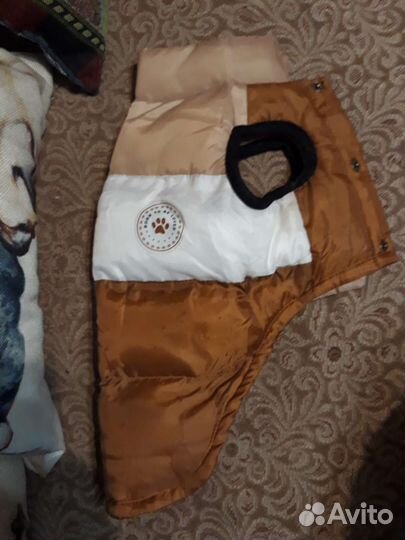 Одежда для собак