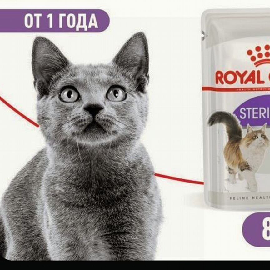 Влажный корм Royal Canin Sterilised в желе