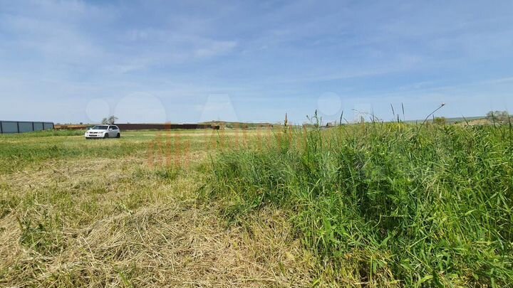 Участок 43 сот. (СНТ, ДНП)