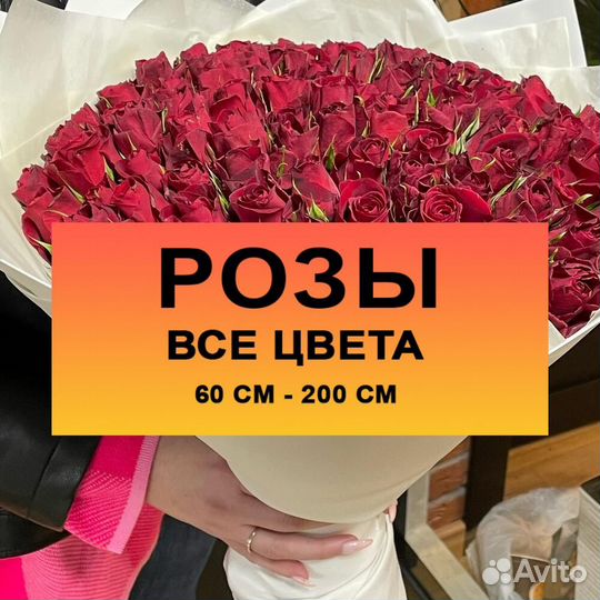 101 51 роза, букет цветов, розы с доставкой