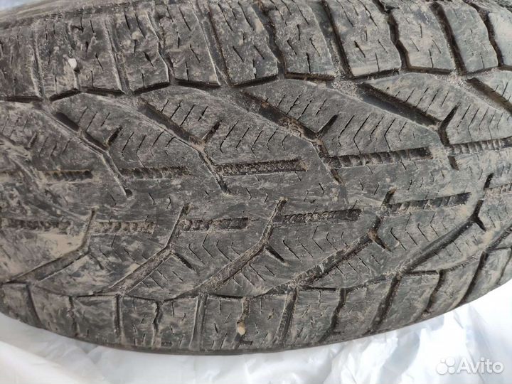 Tigar Winter 205/55 R16 94H