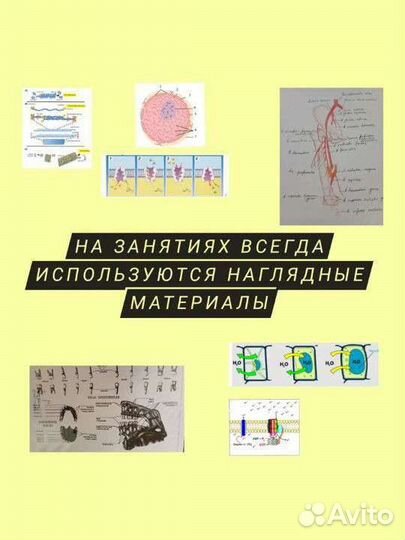 Подготовка к ОГЭ