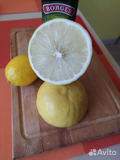 Лимонное дерево