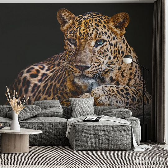 Дизайнерские фотообои 