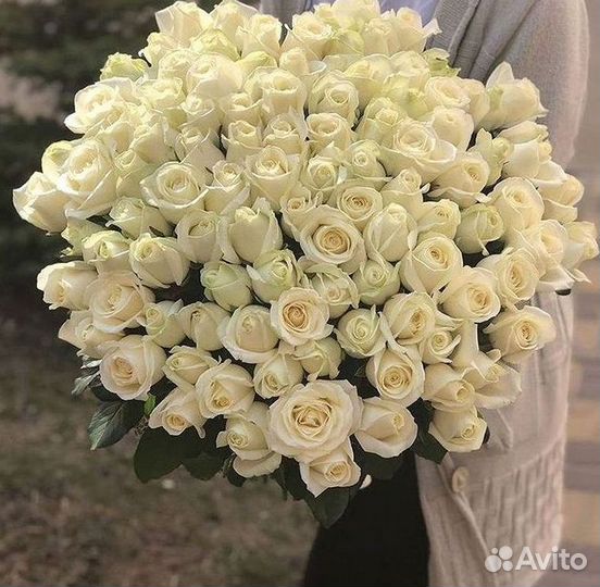 101 Роза Цветы Букеты 51 25 Роз Доставка