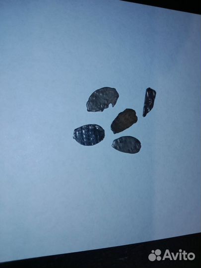 Монеты чешуя