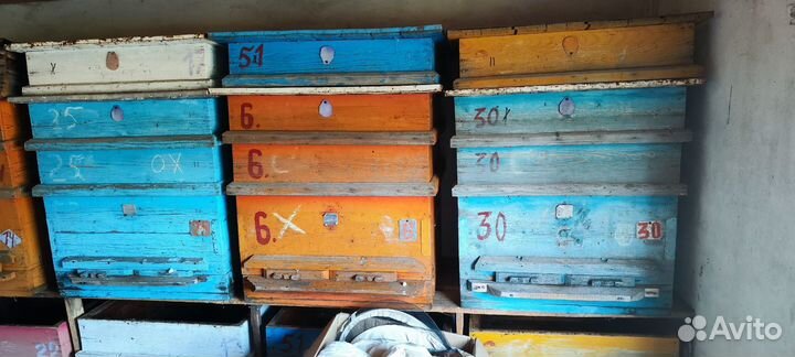 Ульи для пчел