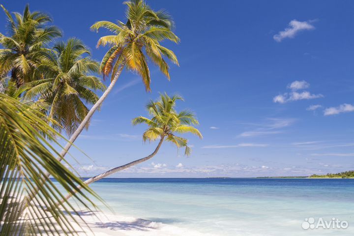 Мальдивы для всей семьи