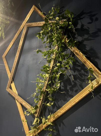 Искусственные растения стена