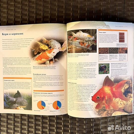 Энциклопедия аквариумных и прудовых рыб, Альдертон