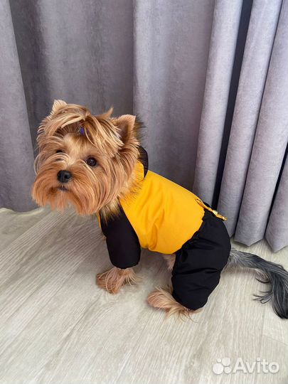 Зимний комбинезон пуховик одежда для собак