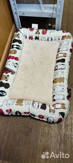 Кошка в дар