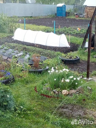 Отличный парник 4ре метра с доставкой