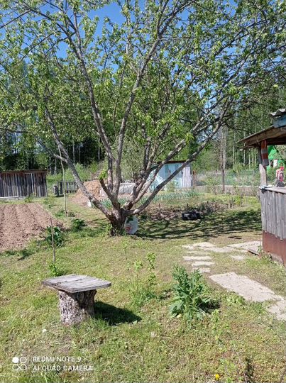 Участок 6 сот. (СНТ, ДНП)