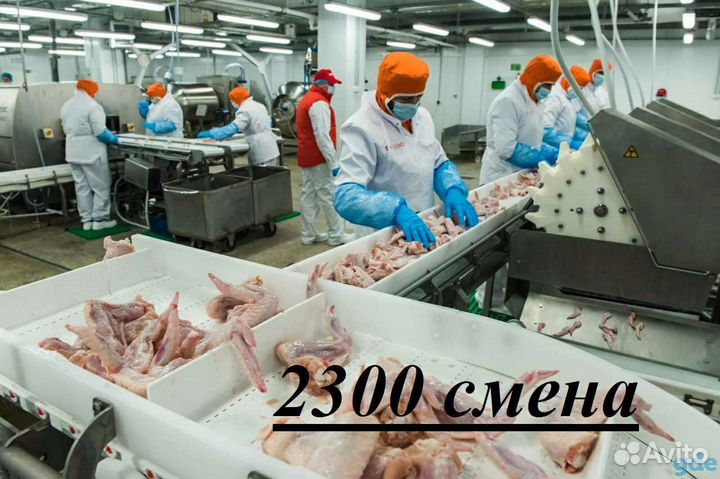 Оператор линии