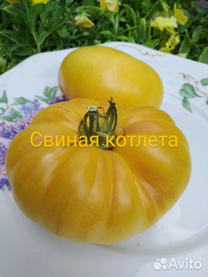 Вишневый от Zuzi сортов много