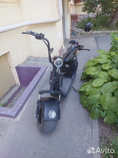 CityCoco BlackLine R2