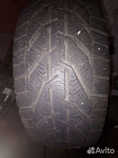 Tigar Ice 195/55 R16