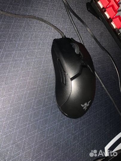 Razer viper mini