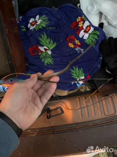 Музыкальная колонка