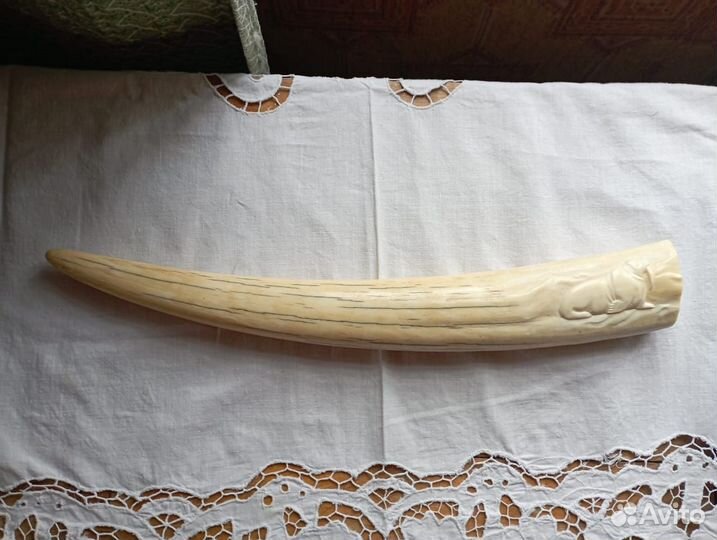 Клык моржа (имитация)