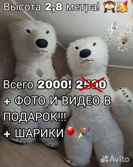 Белый мишка поздравление