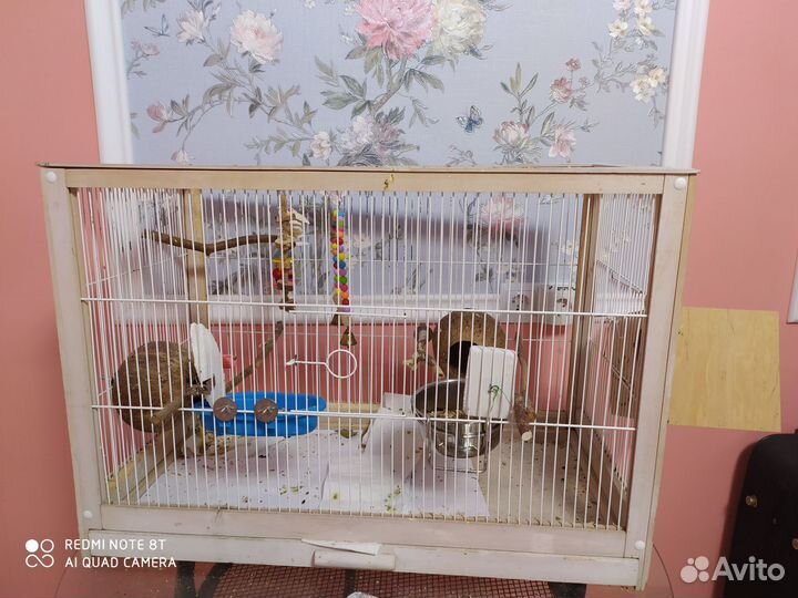 Клетки гнезда доставка для попугаев