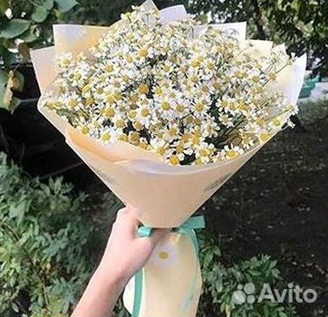 Ромашки Пионы Розы Доставка