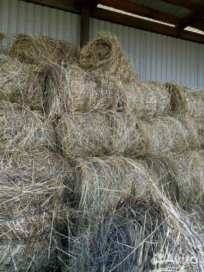 Продам Сено