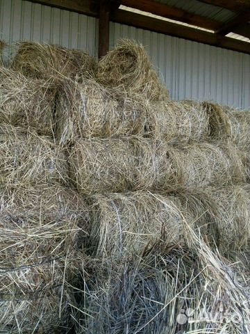 Продам Сено