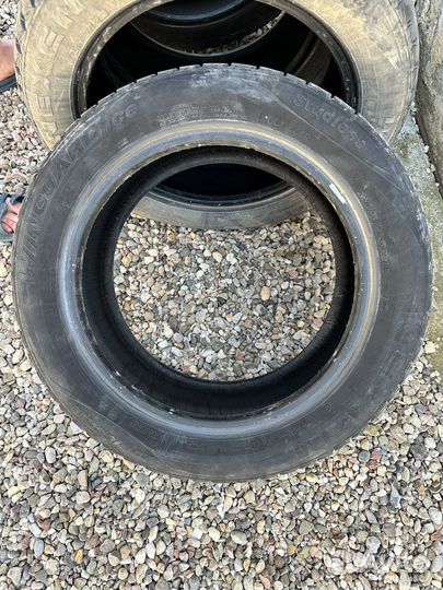 Nexen Winguard Ice 205/55 R16