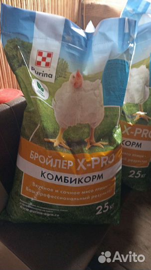 Суточные.Подрощенные цыплята бройлера