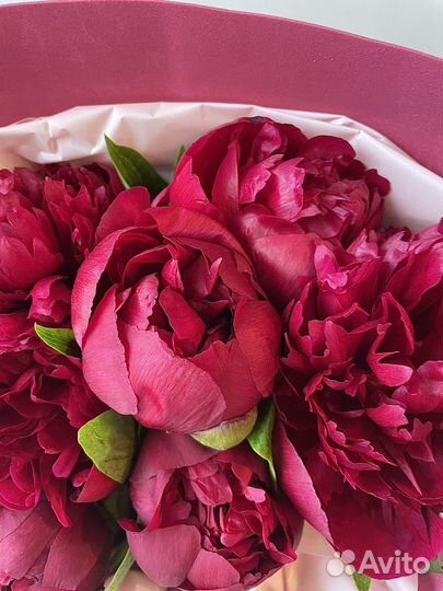 Букет цветы пионы