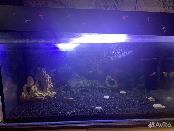 Аквариум